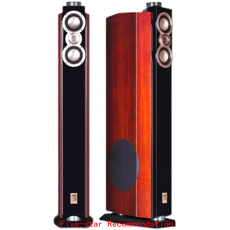 DX-2 ハイエンドフロアスピーカー、10インチ重低音HiF - Home Cinema High End のレビューと価格